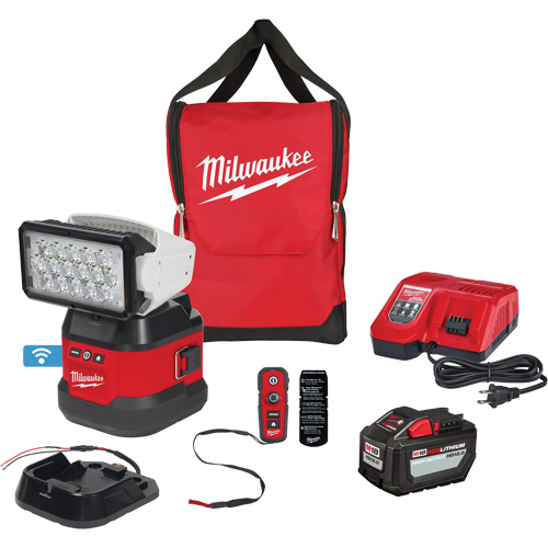 Ensemble d'&eacute;clairage orientable polyvalent &agrave; t&eacute;l&eacute;commande, DEL, 4250 lumens Solutions industrielles ALPHA