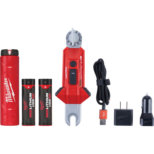 Lampe USB polyvalente REDLITHIUM pour perche isolante, DEL, Piles Rechargeable, Aluminium Solutions industrielles ALPHA