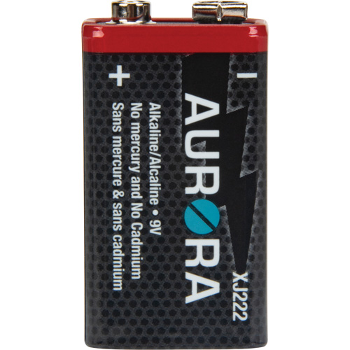 Piles alcalines industrielles, 9 V Solutions industrielles ALPHA