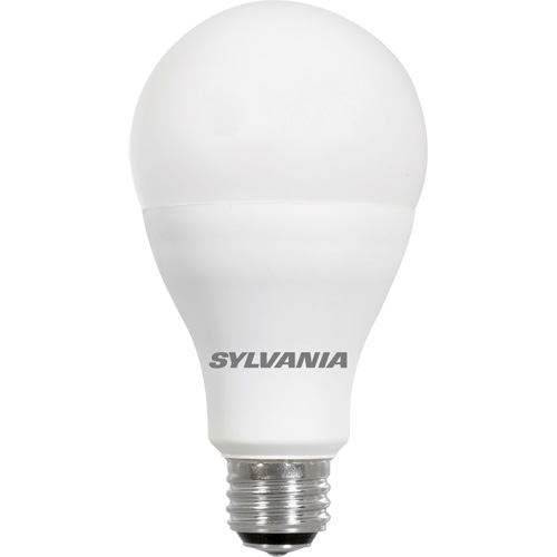 Lampe Ultra LED A-Line, 23 W, 2600 lumens, base Moyen Solutions industrielles ALPHA