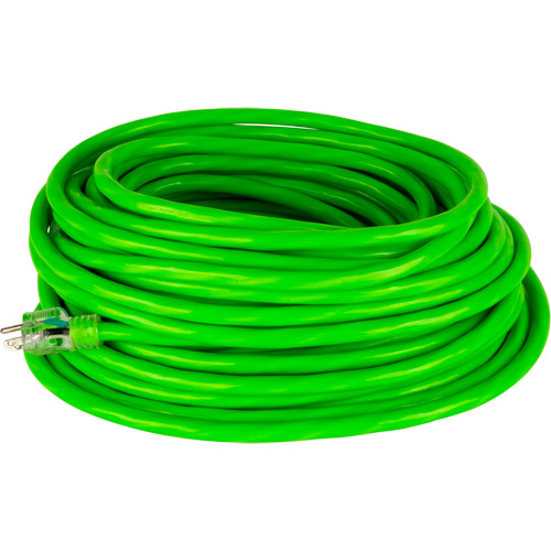 Cordon rallonge de calibre industriel, Toutes saisons, SJTW, AWG 10/3, 15 A, 100' Solutions industrielles ALPHA