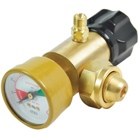 CGA200 Regulator Solutions industrielles ALPHA
