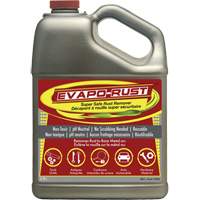 Evapo-Rust&reg; Super Safe Rust Remover, Jug Solutions industrielles ALPHA