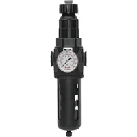 Filtre/r&eacute;gulateur Modulair 400 avec vidange manuelle, 3/4" NPT, 200 psi, Capacit&eacute; de 9,1 oz liq. Solutions industrielles ALPHA
