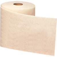 Ruban de nettoyage et de finition Scotch-Brite, Tr&egrave;s fin, Oxyde d'aluminium, 4" la x 30' lo Solutions industrielles ALPHA