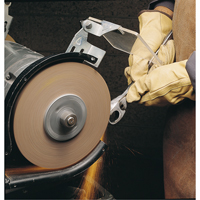 Meules d'abrasion & de polissage Scotch-brite, 6" dia. x 1" la, Arbre 1", Oxyde d'aluminium Solutions industrielles ALPHA