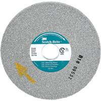 Scotch-Brite EXL Deburring Wheel, 6" x 1/2", 1" Arbor, Aluminum Oxide Solutions industrielles ALPHA
