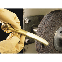 Scotch-Brite Multi-Finishing Wheels, 8" x 1", 3" Arbor Solutions industrielles ALPHA