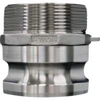 Cam & Groove Coupling, Stainless Steel, Type F, 3/4", Male NPT, 250 PSI Solutions industrielles ALPHA