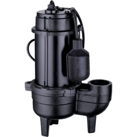 Cast Iron Sewage Pump, 120 V, 9.5 A, 6000 GPH, 1/2 HP Solutions industrielles ALPHA