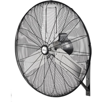 Non-Oscillating Wall Fan, Industrial, 30" Dia., 2 Speeds Solutions industrielles ALPHA