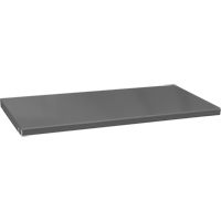 Replacement Cabinet Shelves, 47-1/2" x 16-3/8", 700 lbs. Capacity, Steel, Grey Solutions industrielles ALPHA