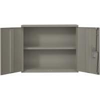 Armoire murale, Acier, 2 Tablettes, 30" h x 36" la x 12" P, Gris Solutions industrielles ALPHA