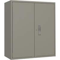Armoire de rangement Lo-Boy, Acier, 2 Tablettes, 40" h x 36" la x 18" P, Gris Solutions industrielles ALPHA