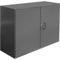 Abrasive Accessory Cabinet, Steel, 2 Drawers, 33-3/4" x 11-7/8" x 23-7/8", Grey Solutions industrielles ALPHA