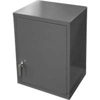 Wall-Mounted Cabinet, 27" H x 13-11/16" W x 18" D, 2 Shelves, Steel, Grey Solutions industrielles ALPHA