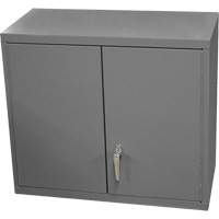 Wall-Mounted Cabinet, 27" H x 13-11/16" W x 35-7/8" D, 2 Shelves, Steel, Grey Solutions industrielles ALPHA