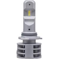 9006 Ampoule pour feu avant, DEL, 13,2 W/17 W, Blanc Solutions industrielles ALPHA