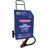 Chargeur 12 V 60 A &agrave; roues Intellamatic Solutions industrielles ALPHA