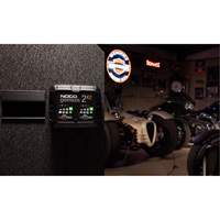 Genius&reg; 2X2 2-Bank, 4-Amp Battery Charger Solutions industrielles ALPHA