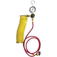 Ensemble pour test de fuite dazote pour climatisation automobile avec r&eacute;gulateur Solutions industrielles ALPHA