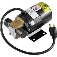 Low Profile Truck Drain with Electric Pump Solutions industrielles ALPHA