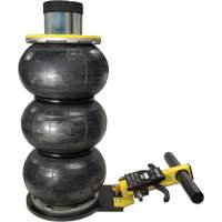 V&eacute;rin &agrave; coussin gonflable triphas&eacute; s&eacute;rie Pro, 2 tonne(s), 22" Hauteur &eacute;lev&eacute;e Solutions industrielles ALPHA