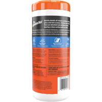 Interior Detailer Wipes Solutions industrielles ALPHA