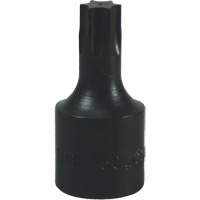 Embout Torx&reg; T-50 Solutions industrielles ALPHA