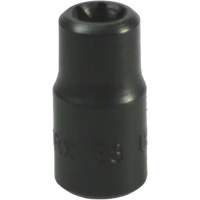Douille Torx&reg; E-8 Solutions industrielles ALPHA