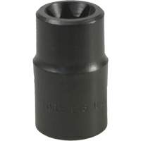 Douille Torx&reg; E-18 Solutions industrielles ALPHA
