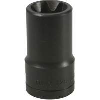 Douille Torx&reg; E-20 Solutions industrielles ALPHA