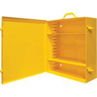 Wall-Mounting Spill Control Cabinet Solutions industrielles ALPHA