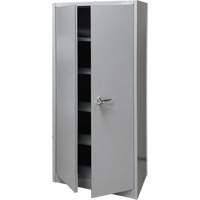 Armoire de rangement, Acier, 4 Tablettes, 66" h x 30" la x 15" P, Gris Solutions industrielles ALPHA
