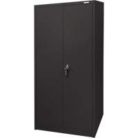 Armoire d'entreposage, Acier, 4 Tablettes, 66" h x 30" la x 15" P, Noir Solutions industrielles ALPHA