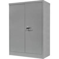 Counter-High Storage Cabinet, Steel, 2 Shelves, 42" H x 30" W x 15" D, Grey Solutions industrielles ALPHA