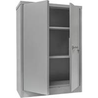 Counter-High Storage Cabinet, Steel, 2 Shelves, 42" H x 30" W x 15" D, Grey Solutions industrielles ALPHA