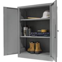 Counter-High Storage Cabinet, Steel, 2 Shelves, 42" H x 30" W x 15" D, Grey Solutions industrielles ALPHA