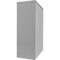Counter-High Storage Cabinet, Steel, 2 Shelves, 42" H x 30" W x 15" D, Grey Solutions industrielles ALPHA