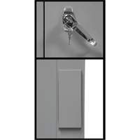 Counter-High Storage Cabinet, Steel, 2 Shelves, 42" H x 30" W x 15" D, Grey Solutions industrielles ALPHA