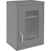 Wall-Mountable Storage Cabinet with Clearview Doors, 26-15/16" H x 18-1/8" W x 13-11/16" D, 2 Shelves, Steel, Grey Solutions industrielles ALPHA