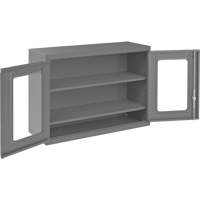 Wall-Mountable Storage Cabinet with Clearview Doors, 26-15/16" H x 35-7/8" W x 13-11/16" D, 2 Shelves, Steel, Grey Solutions industrielles ALPHA