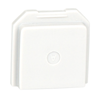 BW Gas Detector Dummy Sensor for Toxic Location Solutions industrielles ALPHA