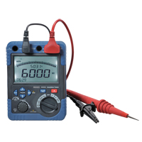 Insulation Resistance Tester, Digital Solutions industrielles ALPHA
