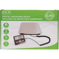 Digital Receiving Scale, 220 lbs. Cap., 1 lbs. Graduations Solutions industrielles ALPHA