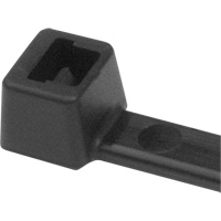 PA66 Cable Ties, 5-1/2" Long, 18 lbs. Tensile Strength, Black Solutions industrielles ALPHA