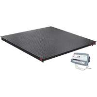 Balance de plancher DEFENDER 5000, Capacit&eacute; de 2500 lb, 48" la x 48" lo Solutions industrielles ALPHA