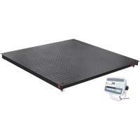 Balance de plancher DEFENDER 5000, Capacit&eacute; de 5000 lb, 48" la x 48" lo Solutions industrielles ALPHA