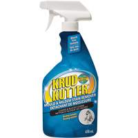 Vaporisateur contre les moisissures, 650 ml, Bouteille &agrave; g&acirc;chette Solutions industrielles ALPHA
