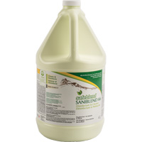 Nettoyant d&eacute;sinfectant concentr&eacute; SaniBlend 66, 4 L, Cruche Solutions industrielles ALPHA